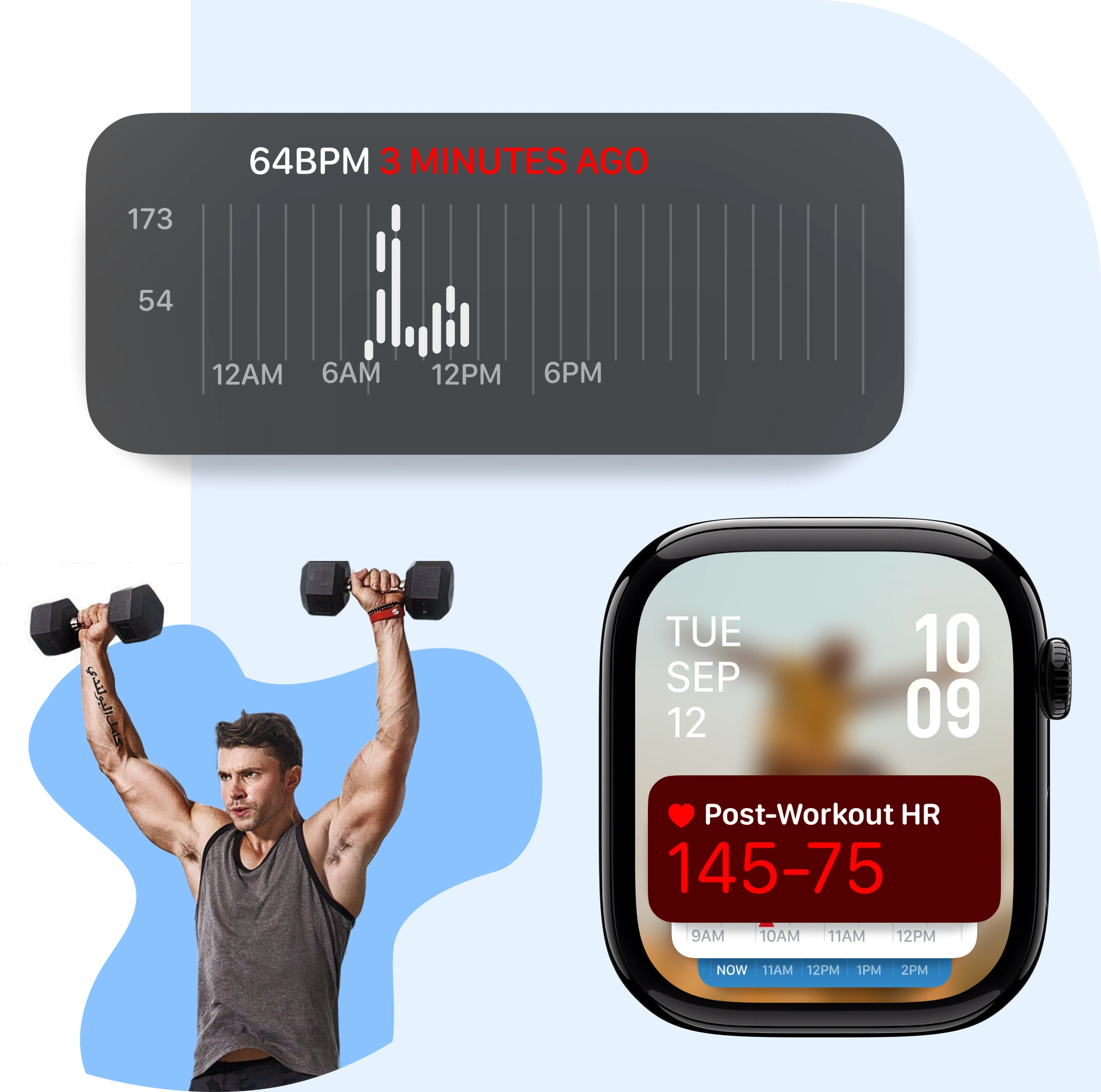 Live Heart Rate Zone Display